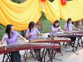 6.02.2012 Taiwanese Cultural Heritage Night of Spotlight by Starlight at Ossian Hall Park , Virginia (12)